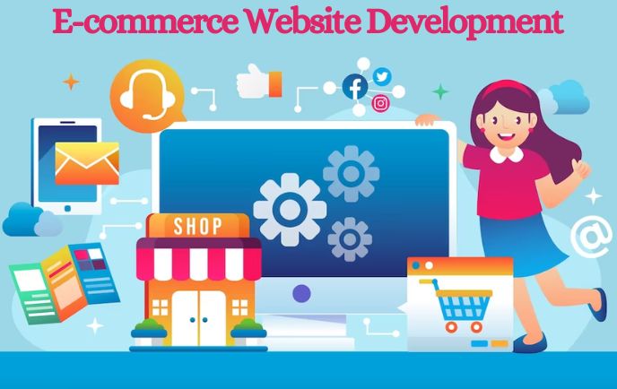 Professional E-commerce Developers