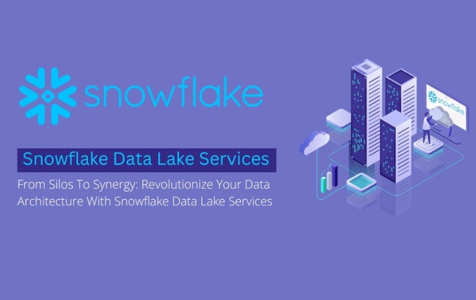Snowflake Data Lake Services