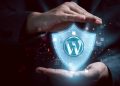 Safeguard Your WordPress Website- DDoS attacks