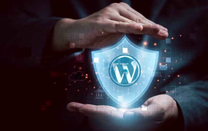 Safeguard Your WordPress Website- DDoS attacks