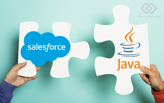 Java Integration with Salesforce